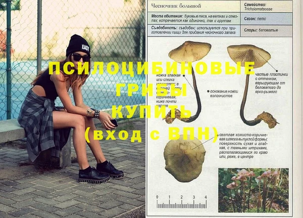марки nbome Алексеевка