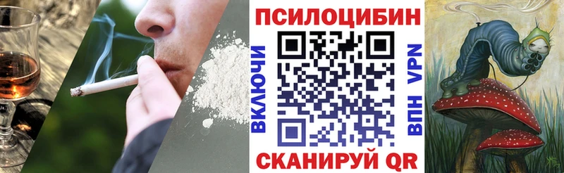 Галлюциногенные грибы Psilocybine cubensis  Мураши 